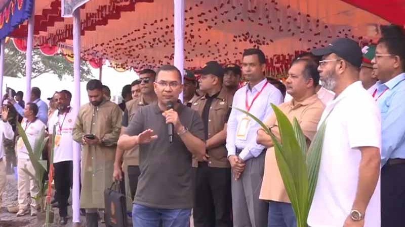 গাছ লাগিয়ে সবুজ ভবিষ্যতের আহ্বান,গৌরনদীতে বৃক্ষরোপণ কর্মসূচির উদ্বোধন প্রধানমন্ত্রীর